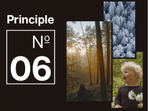 Principle of Better Thinking 06
